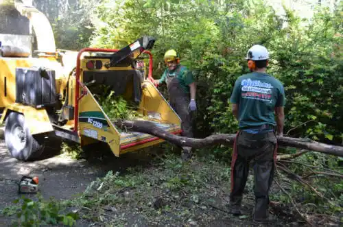 tree services Hinsdale